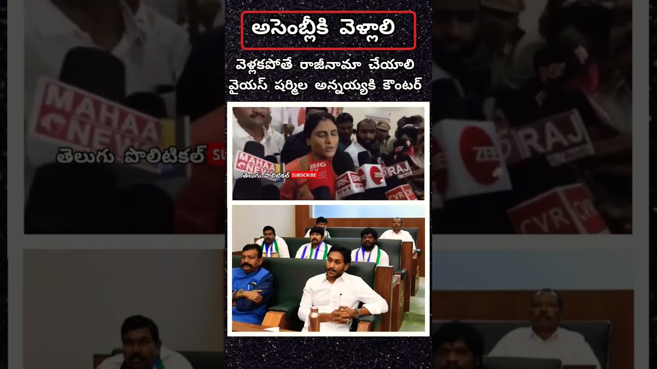 Ys Sharmila sensational comments YS Jagan Mohan Reddy and assembly #pawankalyan #ysjagan #shorts