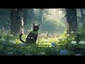 Lofi With My Cat || Drizzle & Cat 🐱 🌧️Chill/Sleep/Healing  [ Lofi Mix - Lofi Songs ]