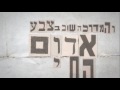הדג נחש - עוד אח אחד - Od Ach Ehad - Official Video