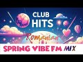 Romanian Spring Club Mix ( VibeFM )