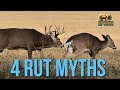 Debunking 4 Rut Myths