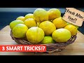 3 SMART WAYS! HOW TO STORE LEMON FOR LONG TIME | HOW TO STORE LEMON JUICE | KITCHEN TRICKS AND TIPS