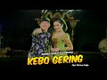 Kebo Gering - Dhimas Tedjo Feat Ayu Kaesthi - ( Official Music Video )