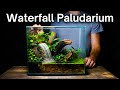 I Made a Paludarium With a Waterfall, Here’s How!
