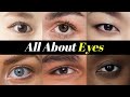 What's my Eye Shape? Here's what matters MORE than the "shape" of your eyes.