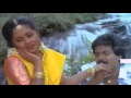 Madhulanganiye Naala-மாதுளங்கனியேநல்லமலர்-Ilaiyaraaja, S Janaki Love Duet H D Video Song