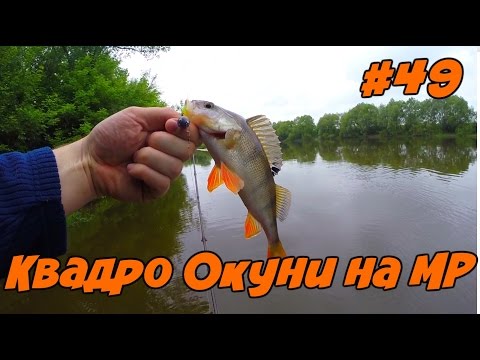 ловля голавля осенью на оке ловля голавля осенью на оке