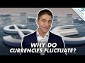 What Causes Currencies to Rise and Fall? | FX 101 (Finance Explained)