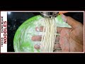 Egg less Fresh Home Noodles | झटपट बनाइये फ्रेश नूडल्स | Homemade Noodles