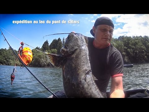 сом как его ловить видео сом как его ловить видео