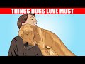 15 Things Dogs Love the Most