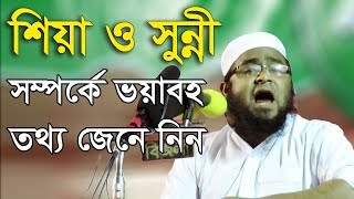 Lutfor Rahman Farazi Bangla Waz 2017 সারা দেশে বাতিলের আতংক ছড়াচ্ছেন যে বক্তা