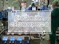 CIRCULACIÓN EXTRACORPOREA - Instrumentación quirúrgica