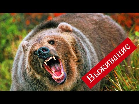 фильмы о охоту и рыбалку запад и восток сибири фильмы о охоту и рыбалку запад и восток сибири