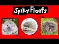 Spiky Floofs, Cactus Hamsters & Heb Hobs—Internet Names for Hedgehogs
