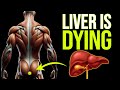Don't Miss These: 12 Early Symptoms of Liver Disorders