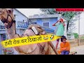 हंसी रोक कर दिखाओ 🤣🤣 Rajasthani comedy Videos