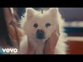 Michael Lanza - Friend (Official Music Video)