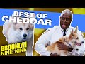 This is Cheddar, Not Just Some Common B***h | Brooklyn Nine-Nine