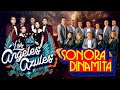 LOS ANGELES AZULES Y LA SONORA DINAMITA - MIX CUMBIAS PARA BAILAR TODA NOCHE - CUMBIA GRANDES ÉXITOS