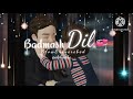 Badmash dil new lofi song 🎧||#Badmash dil from singham film