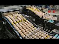 ZENYER 714A egg farm packer automatic packing machine 60000 eggs/hour
