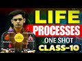 Life Processes Complete Chapter🔥| CLASS 10 Science | NCERT Covered| Prashant Kirad