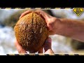 How To Open Coconuts Without Any Tools! TKOR's Easy Way Of Cracking Coconuts!