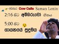 Andahera (Cow Calls) අඬහැර | අම්බරුවෝ |  AMBARUWO  Live | Saman Lenin - ජනකවි Sri Lankan Folk Songs