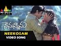 Nenunnanu Video Songs | Neekosam Neekosam Video Song | Nagarjuna, Aarti, Shriya | Sri Balaji Video