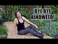Strawberry Patch Makeover (Part 1) Removing bindweed and ground elder