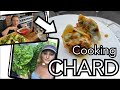 Baked Chard and Mozzarella Pasta Shells | Things to do with Chard || Plot 37