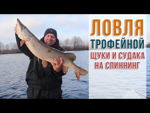 как можно ловить щюку как можно ловить щюку