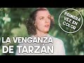La venganza de Tarzán | COLOREADO | Película aventura | Familia