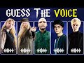 Guess The Character By Their Voice | Harry Potter Edition 🧙‍♂