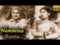 Nammina Bantu Full Movie HD |  Akkineni Nageswara Rao | Savitri