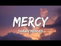 Shawn Mendes - Mercy (Lyrics)