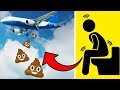 20 Interesting Facts You're Too Lazy To Google