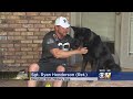 Military Dog Reunited With Soldier 5 Years Later