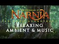 The Chronicles of Narnia - Relaxing Ambient & Music - William Maytook