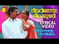 നീയറിഞ്ഞോ നീലക്കുഴലീ  | Sadanandante Samayam | Lyrical Video Song | Dilleep | Kavya Madhavan