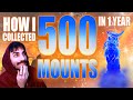 3 hours of how I collected 500+ mounts in only 1 year! [full video guide]
