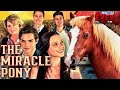 THE MIRACLE PONY | Full FAMILY Movie HD