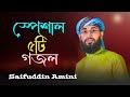 সাইফুদ্দিন আমিনী সুপারহিট ৫টি গজল || Saifuddin Amini Superhit Gojol