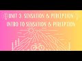 Unit 3: Intro to Sensation & Perception Notes #1
