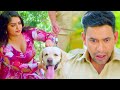 दिनेश लाल यादव और आम्रपाली दुबे का कॉमेडी वीडियो | Bhojpuri Movie Best Scene 2024
