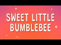 Bambee - Sweet little bumblebee (Bumble Bee) (Sped Up) (Lyrics)
