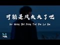 GooGoo - Ke Neng Shi Feng Tai Da Le Ba (可能是风太大了吧) Lyrics 歌词 Pinyin/English Translation (動態歌詞)