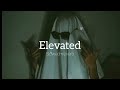 Elevated ( Slowed + Reverb ) - Shubh