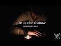 Sail North - Tale of The Shadow (Official Lyric Video)